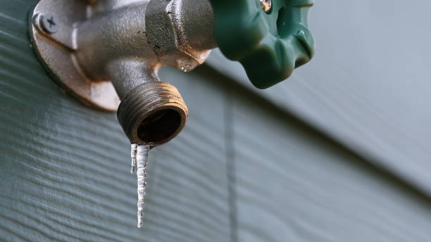 Best Water Leak Repair  in Black Hammock, FL